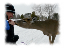 Photo of Roger feeding deer
